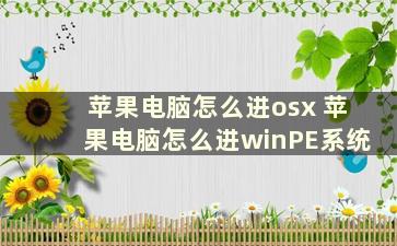 苹果电脑怎么进osx 苹果电脑怎么进winPE系统